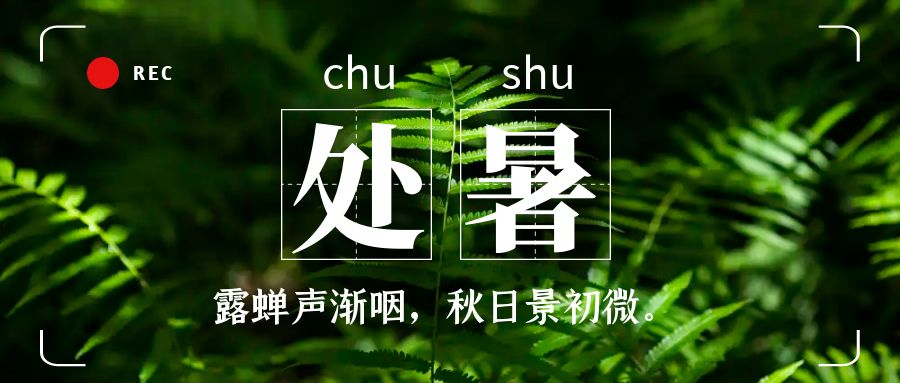 处暑.jpg